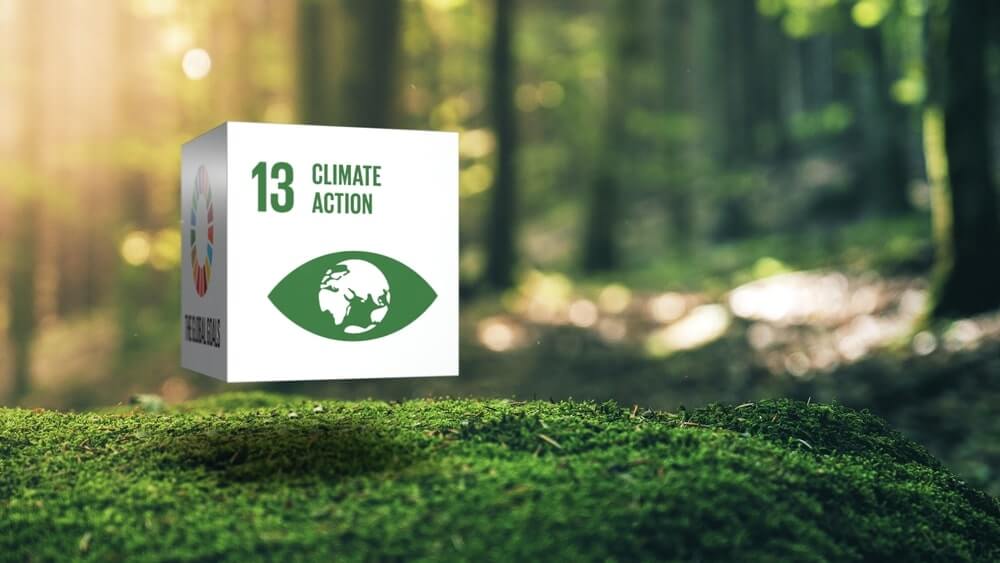 image of the SDG 13 Climate action
