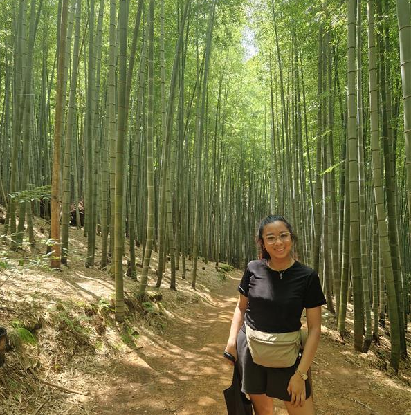 A picture of Jasmine in a bamboo forest