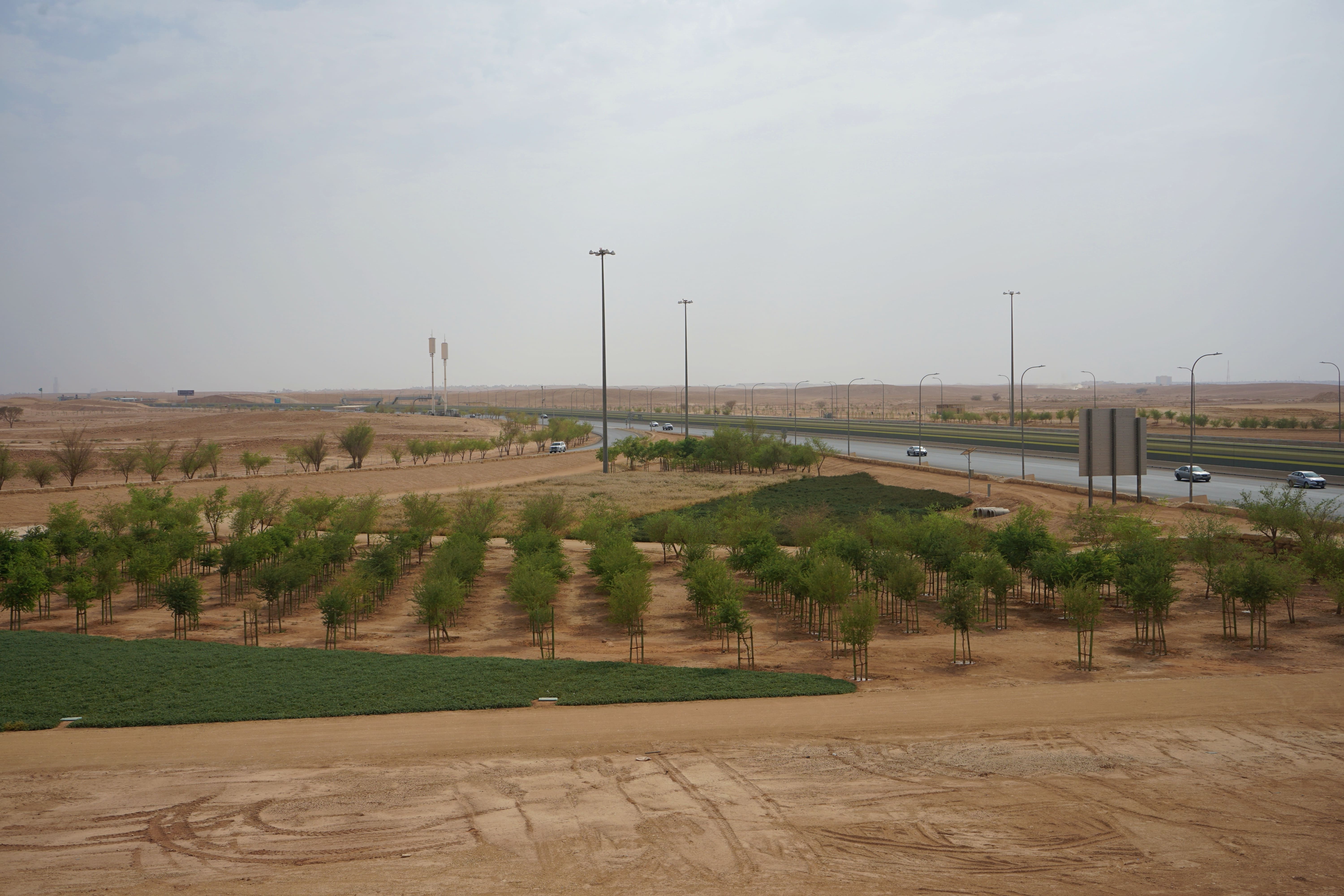 How the Green Riyadh Project will transform Saudi into a more ...