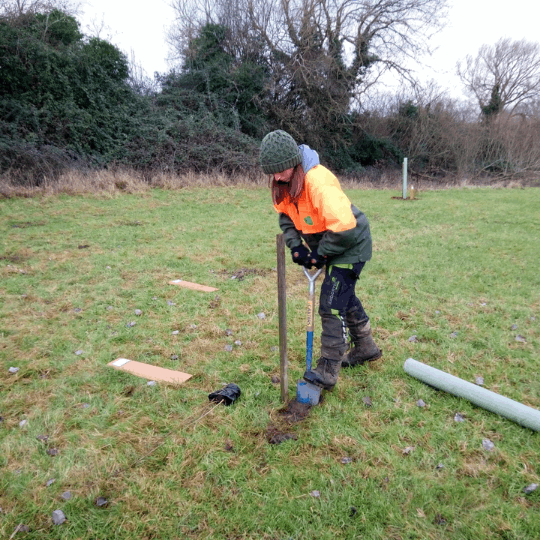 image of someone planting a tree as part of Baby Loss Awareness Week