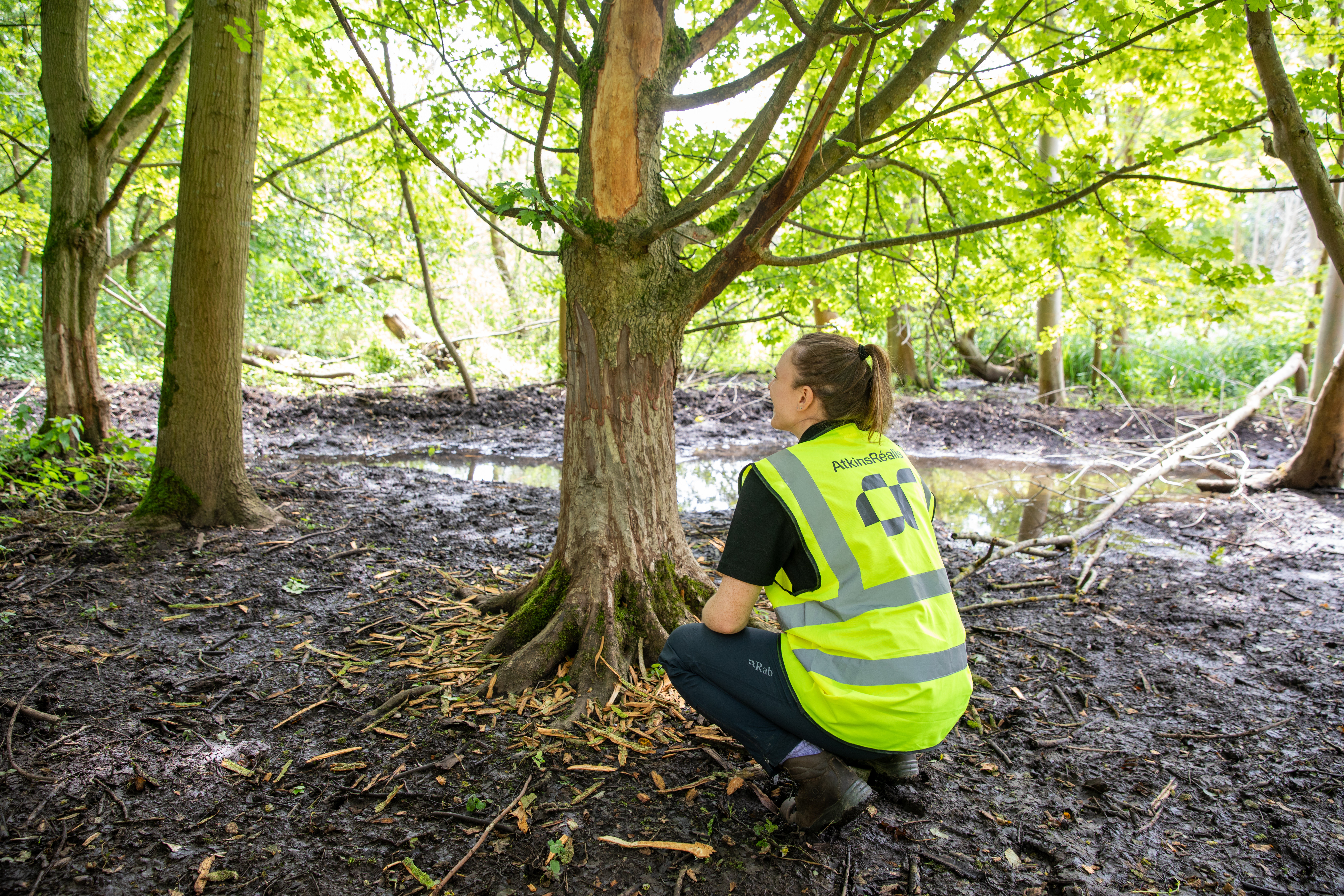 An AtkinsRealis employee wearing a branded high vis jacket in a gladed woodland, seen from the rearmeeting room
