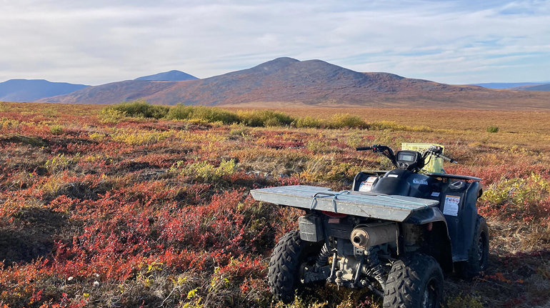 a land with lot's of flower velly.