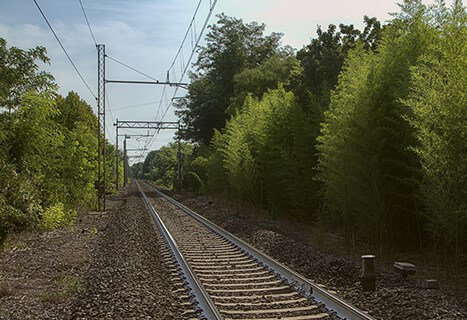 <p>High Speed 2</p><p></p>