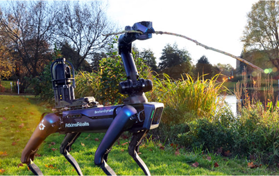 How tech innovation is creating a cleaner, more sustainable future  