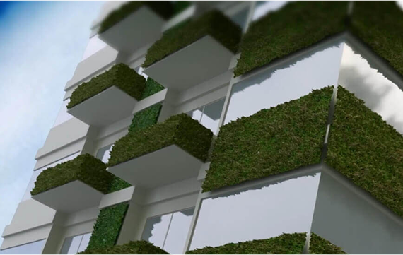 a building with greenery