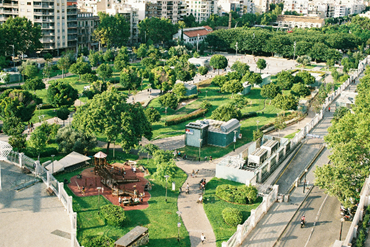 buildings surrounded with a lot of trees