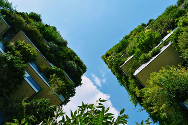photo looking up to the sky past a building that is draped in attractive green vegetation and planting 