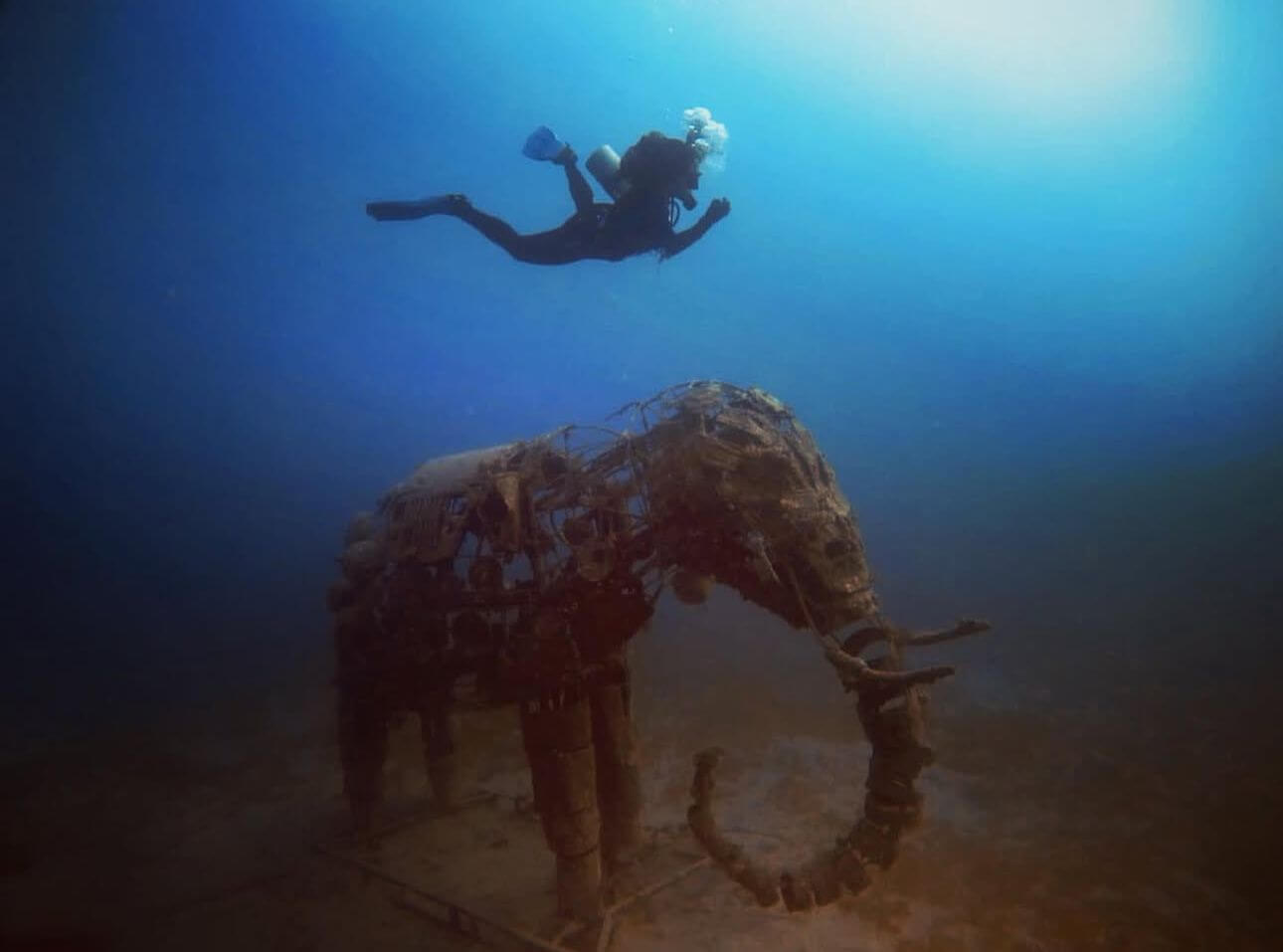 A global HR success story: Lilly Nguyen's inspiring journey