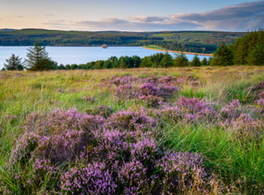 Kielder water